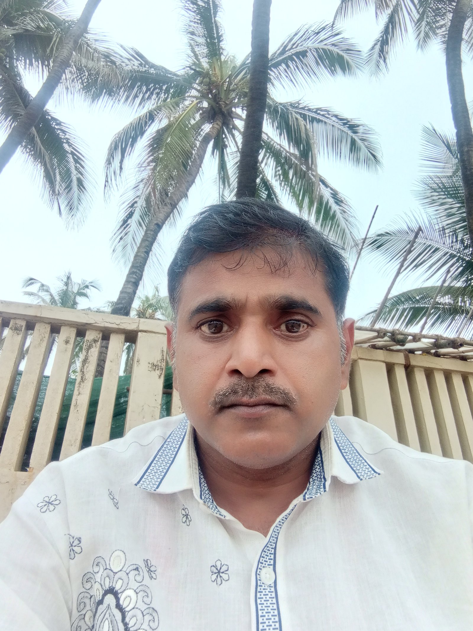 Ravindar Pratap singh